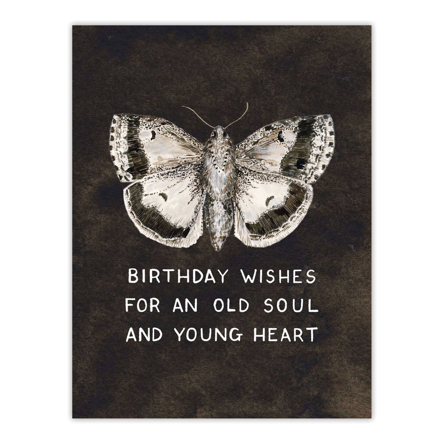 Yardia - Moth Birthday Wishes - Vintage Sweet Birthday Card