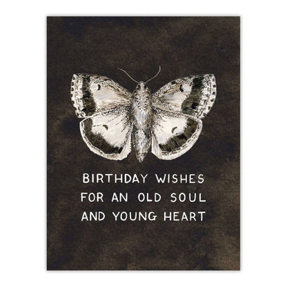 Yardia - Moth Birthday Wishes - Vintage Sweet Birthday Card