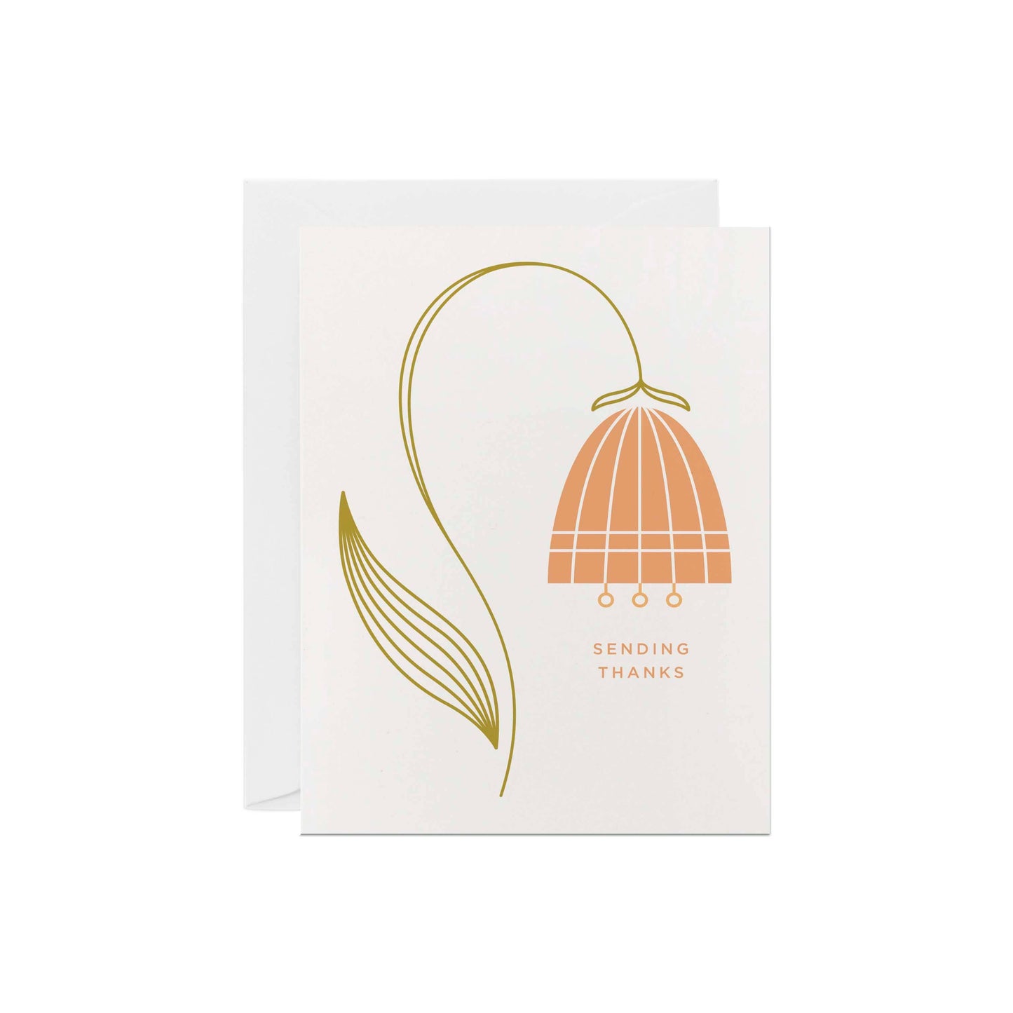 Line & Kind Paper - Thank You - Tulip Flower