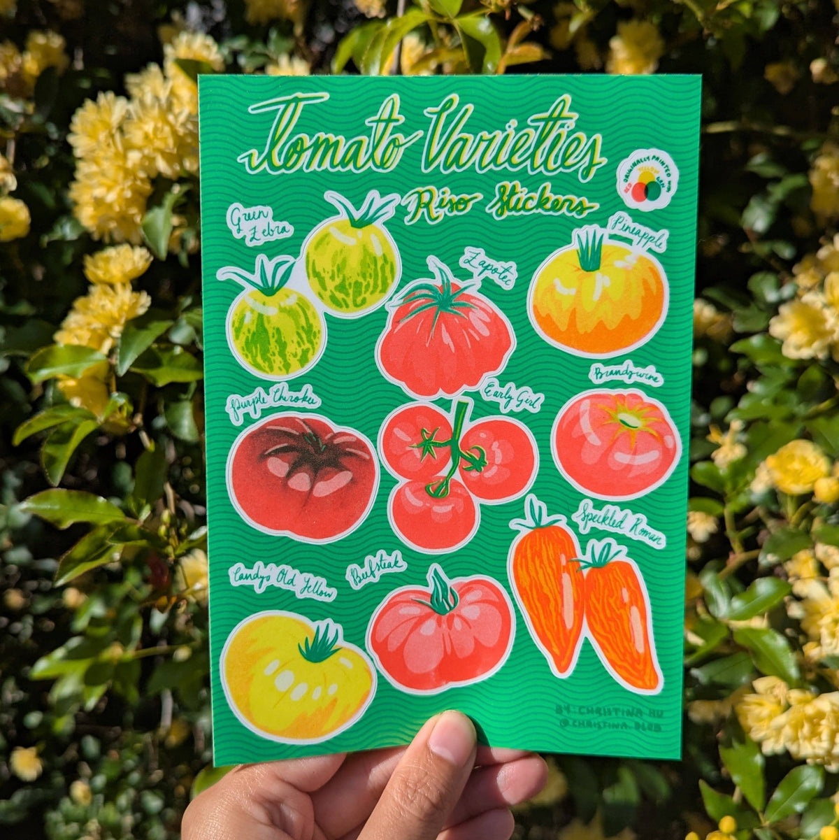 Christina Hu - Heirloom Tomato Varieties Risograph Sticker Sheet | 5"x7" Waterproof Vinyl