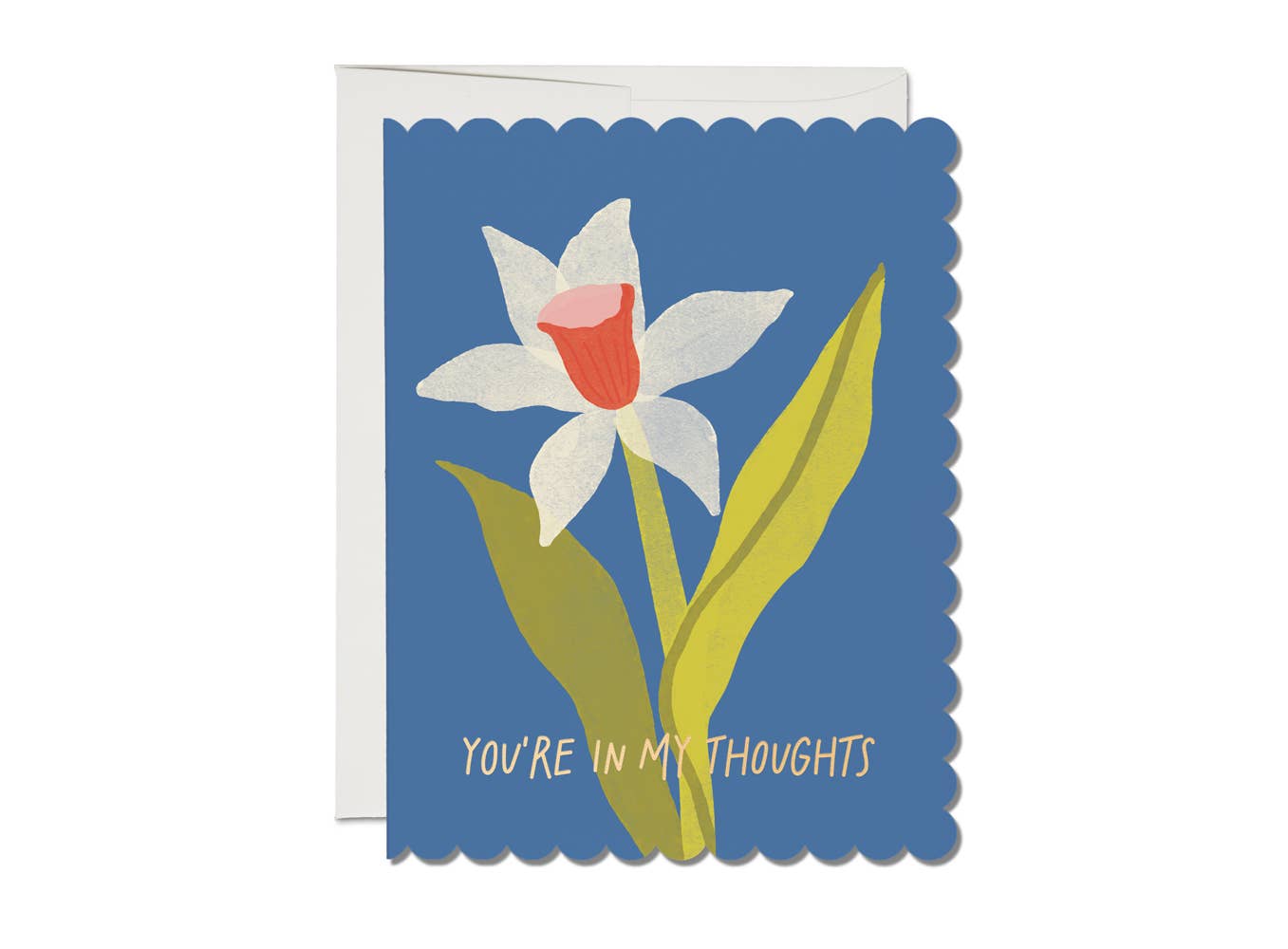 Red Cap Cards - Scalloped Daffodil sympathy greeting card