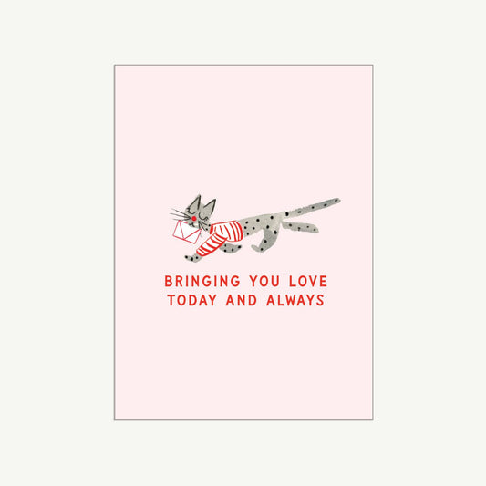 Mr. Boddington's Studio - Kitty Mail