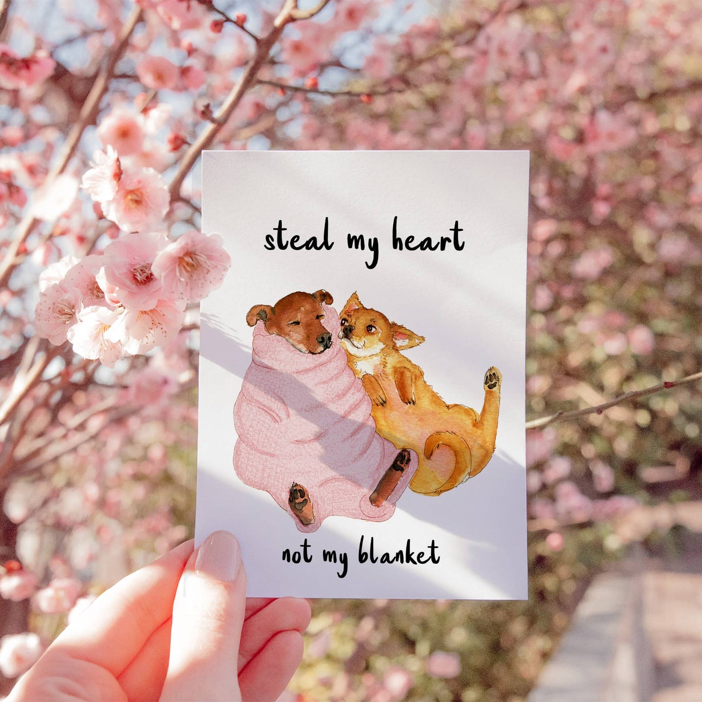 Liyana Studio - Blanket Thief Love - Funny Valentines Day Card: Not My Blanket (pink)