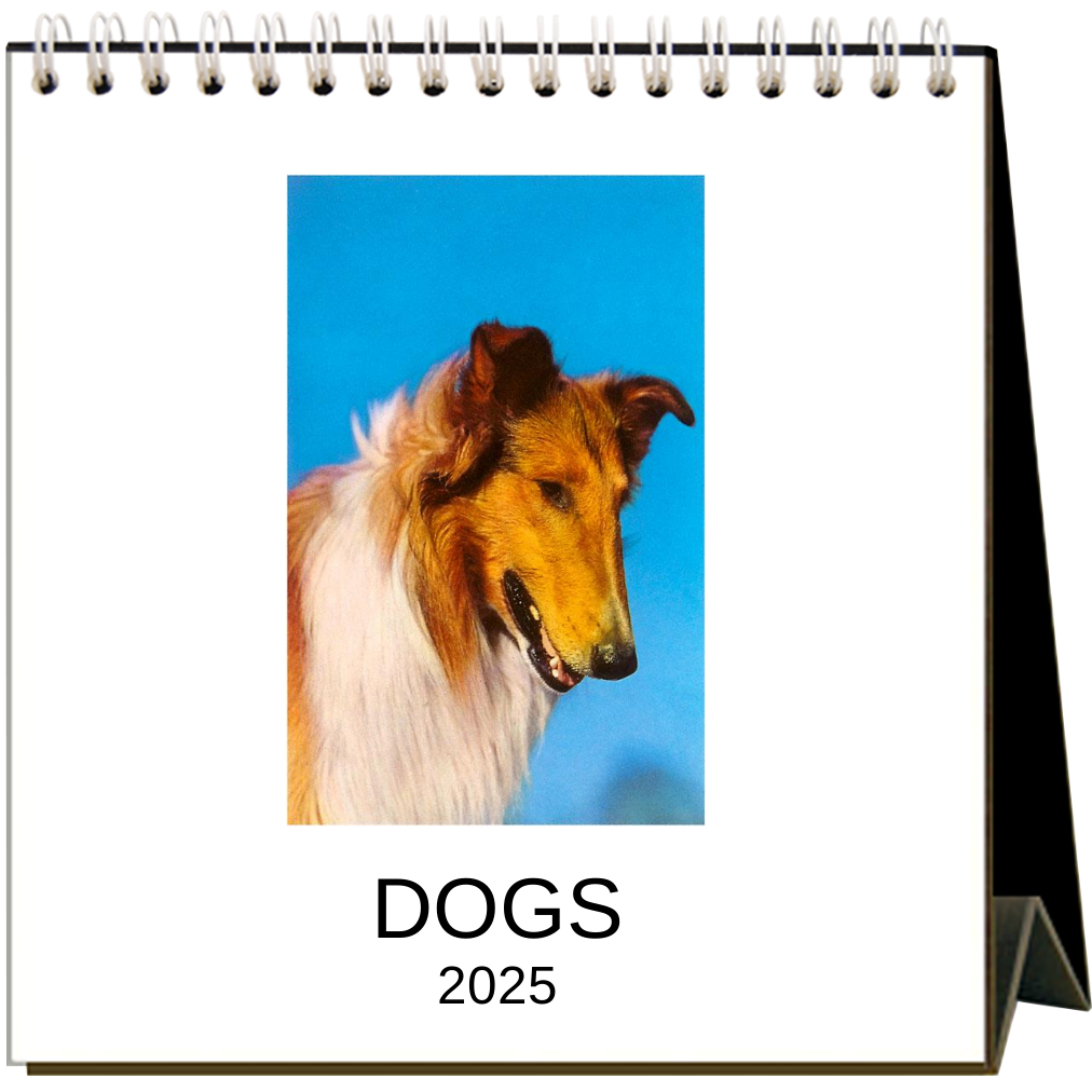 Found Image Press - 2025 Dogs Easel Desk Calendar