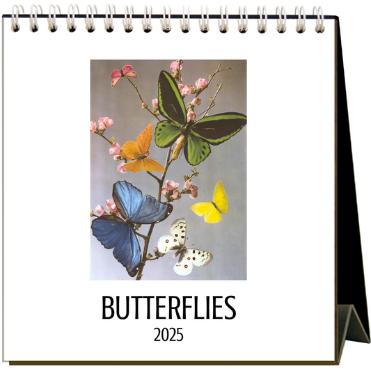 Found Image Press - 2025 Butterflies Easel Desk Calendar