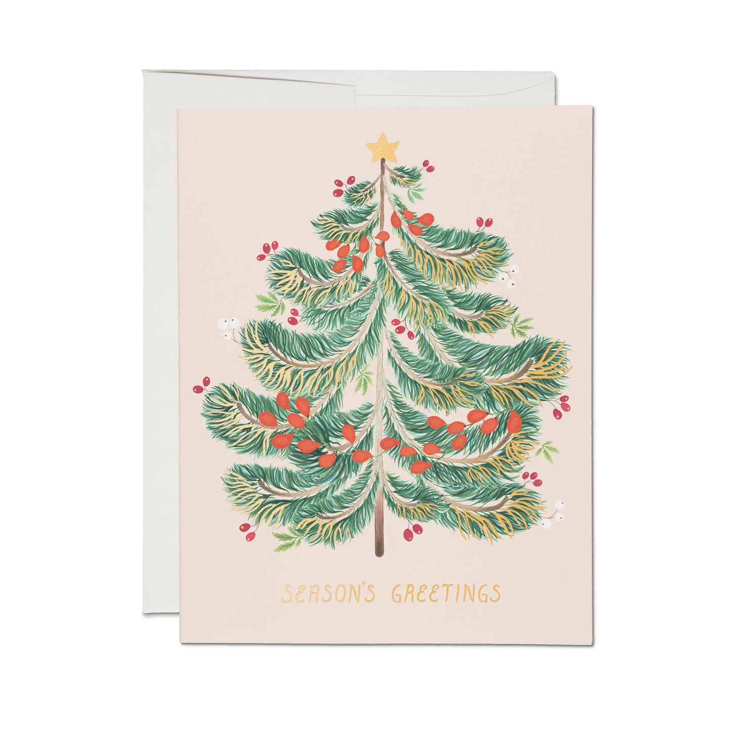 Red Cap Cards - Festive Evergreen Holiday Greeting Card