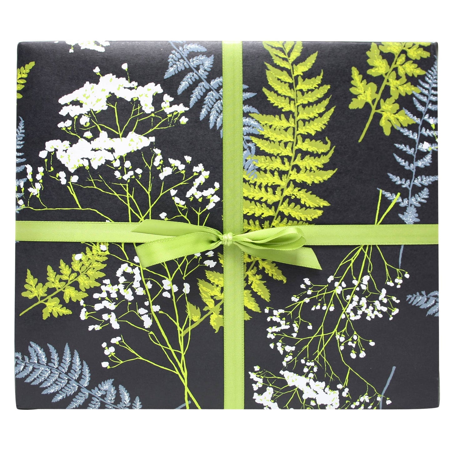 Smudge Ink - Ferns Gift Wrap