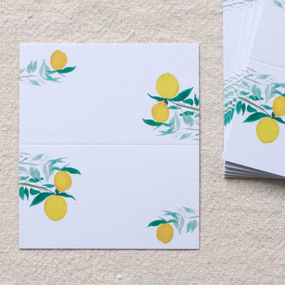 Isa Salazar - Citrus Place Cards, s/24