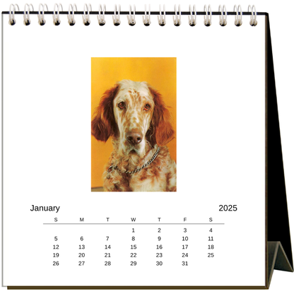 Found Image Press - 2025 Dogs Easel Desk Calendar