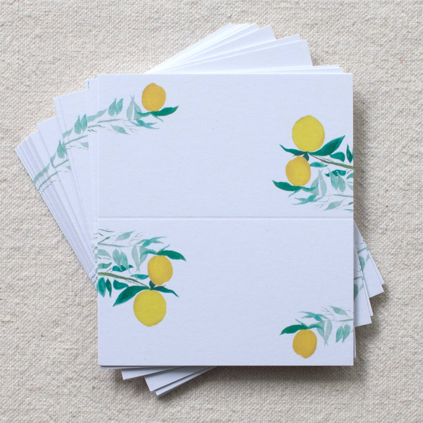 Isa Salazar - Citrus Place Cards, s/24