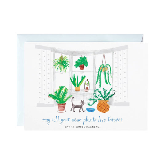 Mr. Boddington's Studio - Another Fern? - Greeting Card