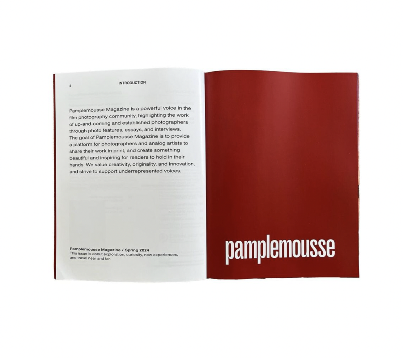 pamplemousse - The Adventure Issue #8