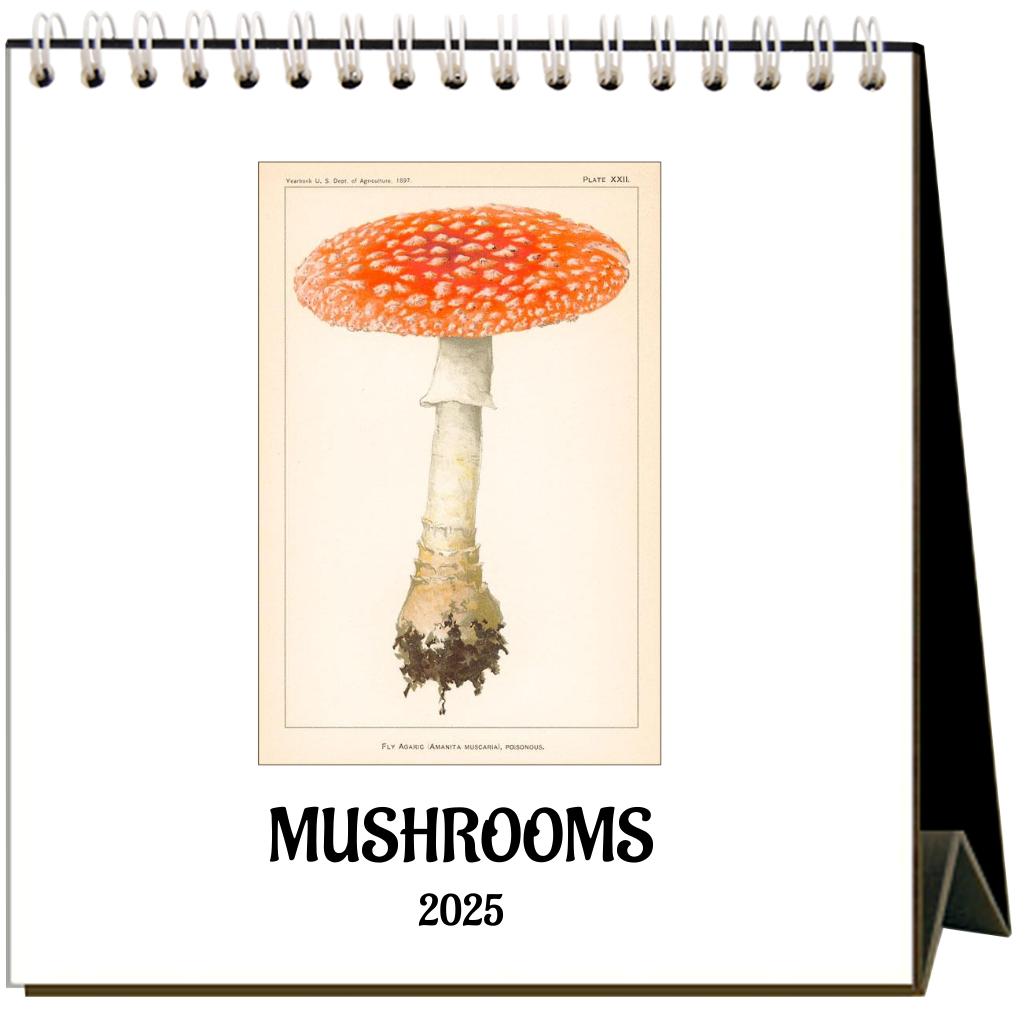 Found Image Press - 2025 Mushrooms Easel Desk Calendar