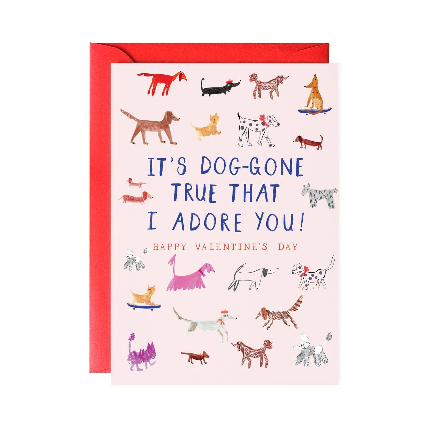 Mr. Boddington's Studio - Doggone True - Valentine Greeting Card