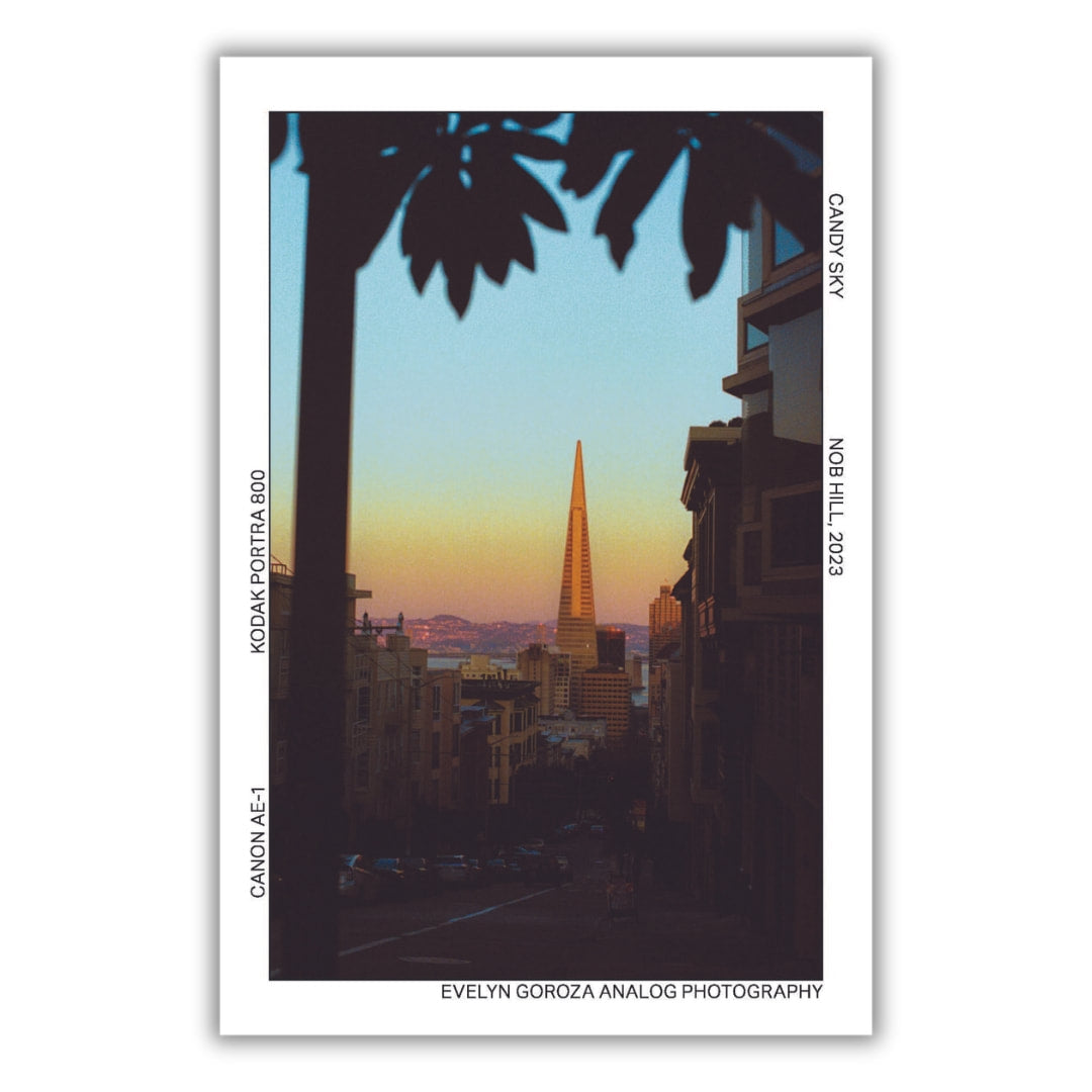 Evelyn Goroza - Nob Hill - Candy Sky - Glossy Postcard