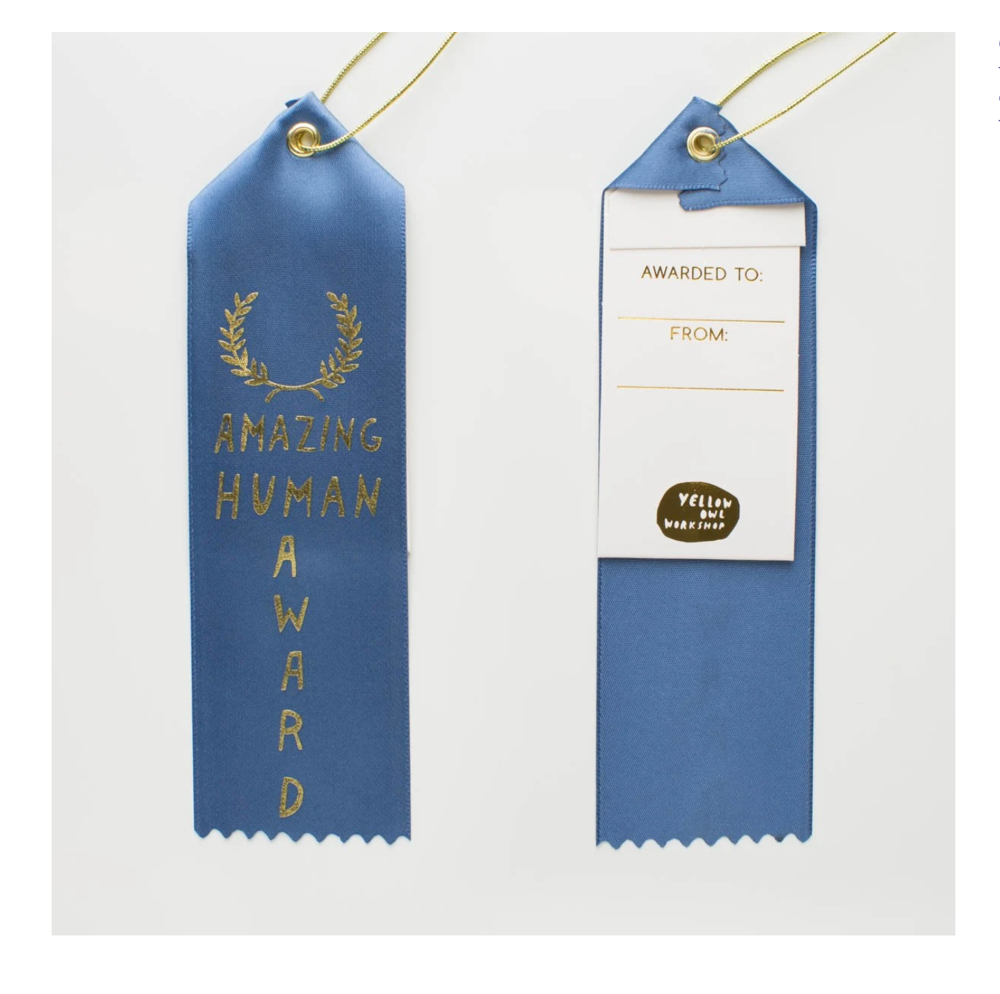 Yellow Owl Workshop - Amazing Human Award