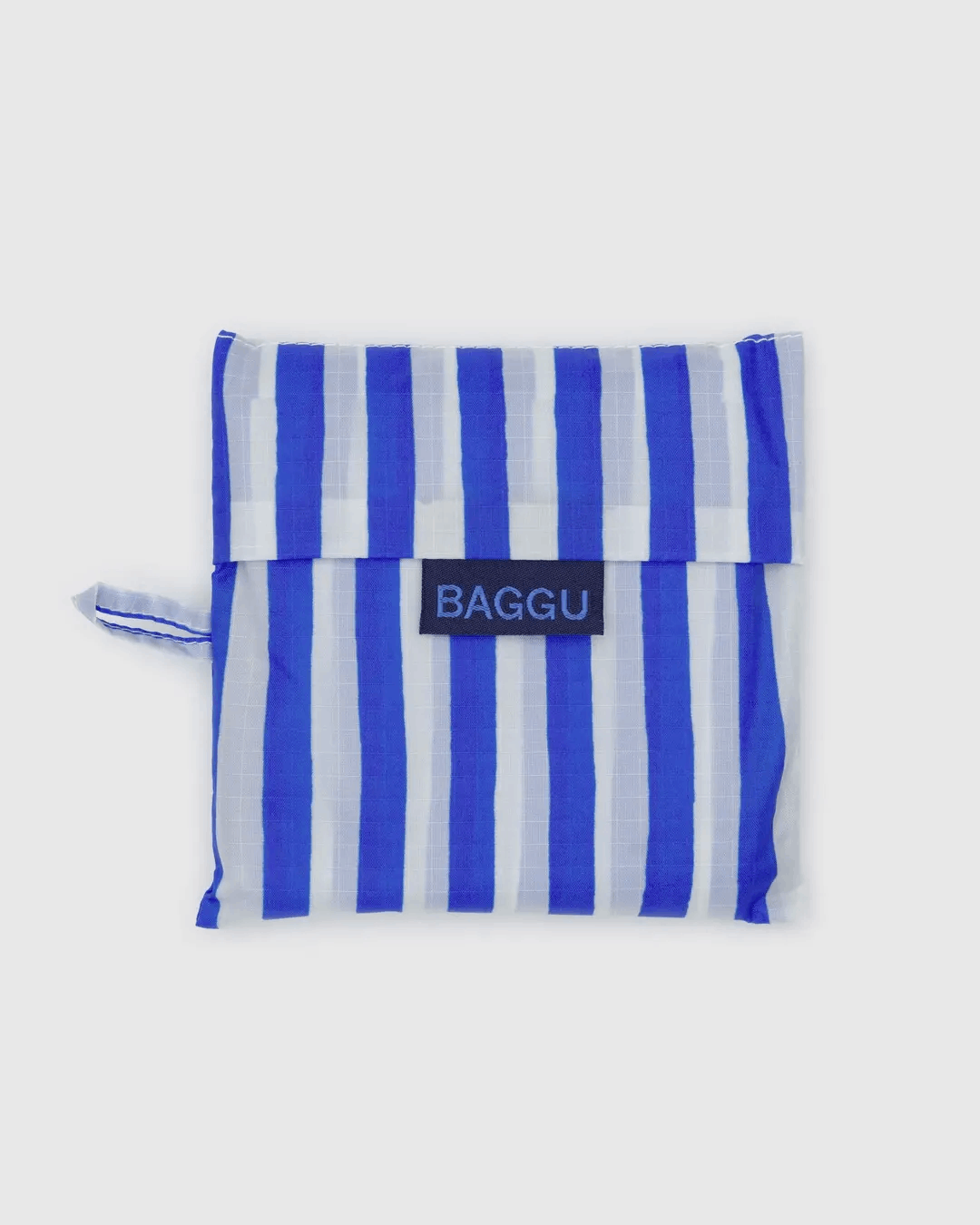 Baggu - Standard Baggu- Blue Painted Stripe