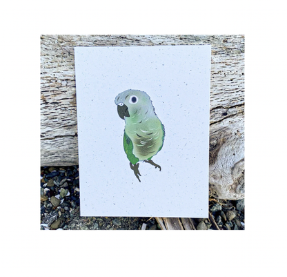 Hakuna matata - Blank - Bird Parrot