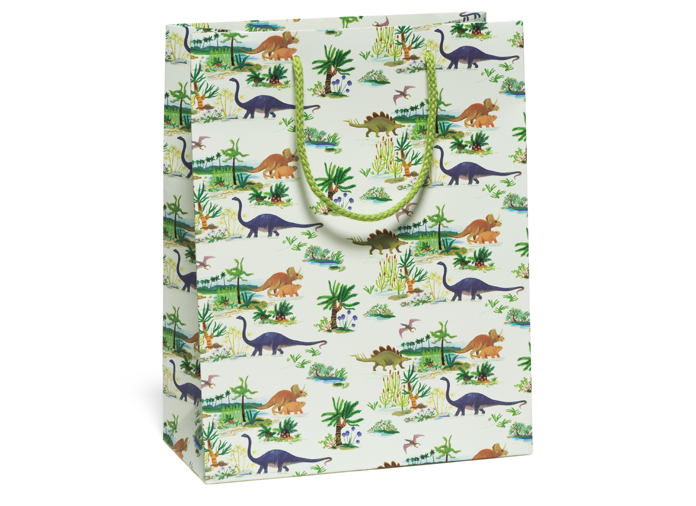 Red Cap Cards - Dinosaurs gift bag