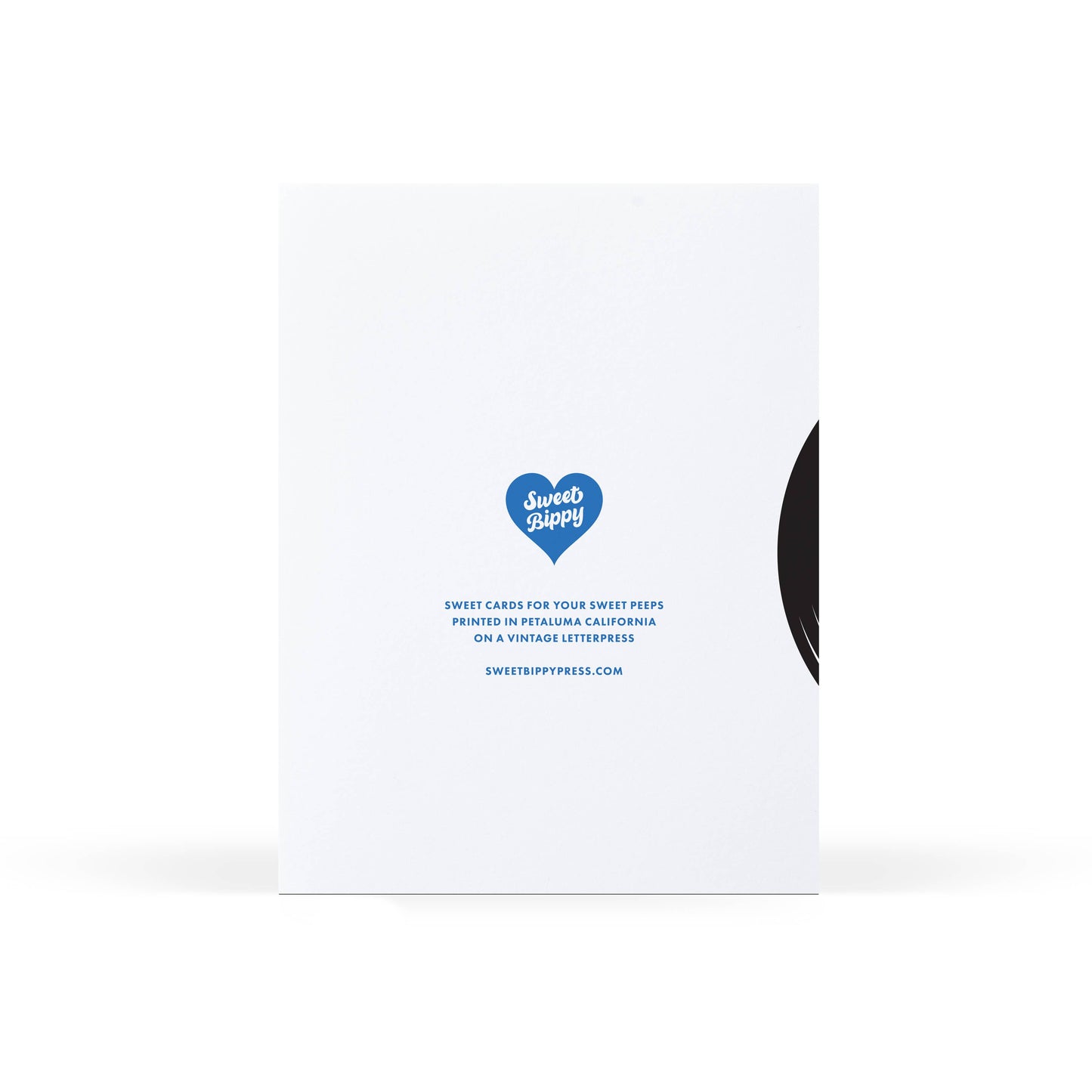 Sweet Bippy Press - Birthday Record Blue Greeting Card