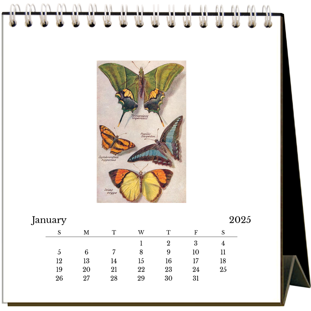 Found Image Press - 2025 Butterflies Easel Desk Calendar