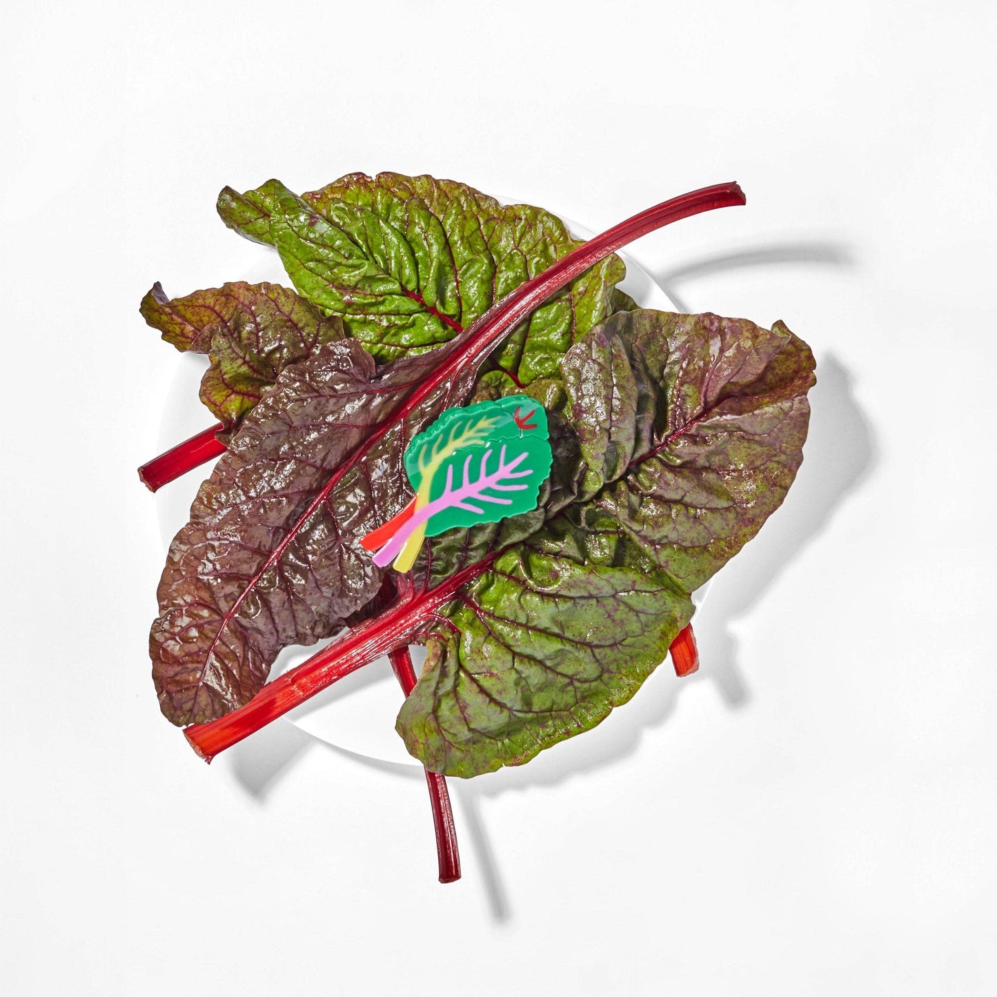 Jenny Lemons - Rainbow Chard Hair Claw