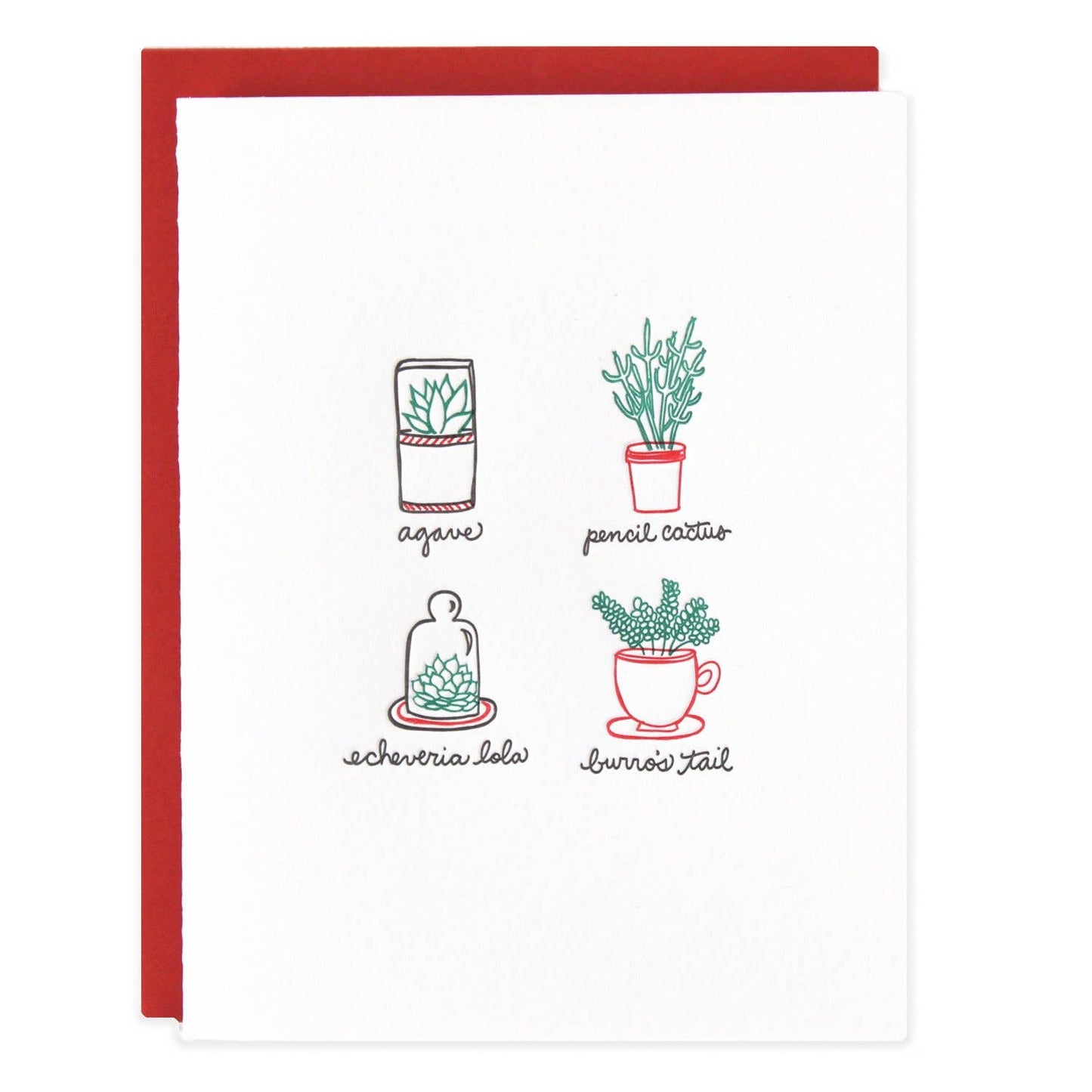 Ramona & Ruth - Succulents Plants Greeting Card