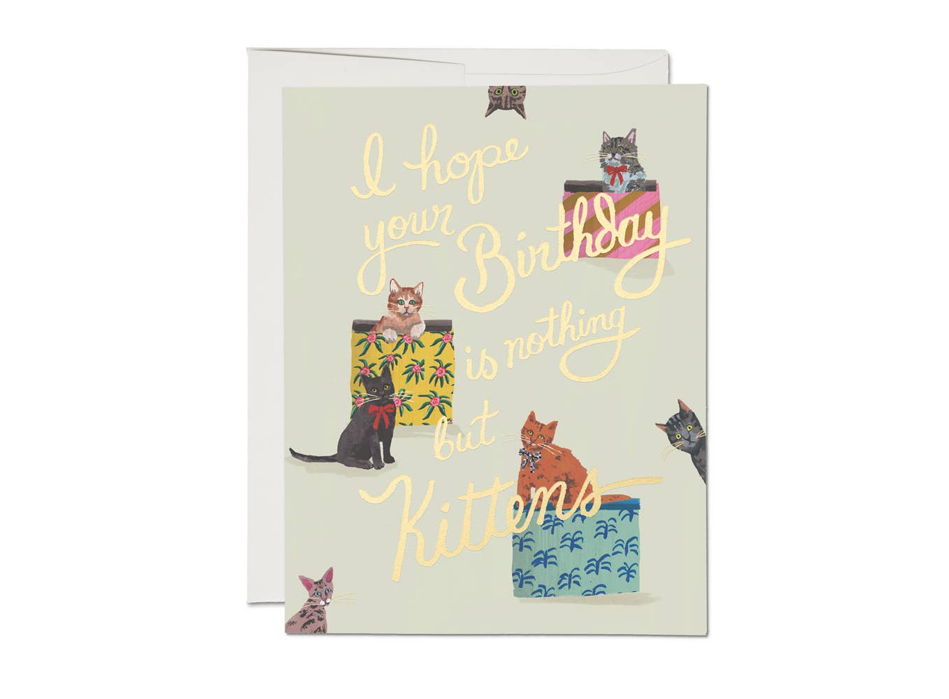 Red Cap Cards - Nothing But Kittens birthday