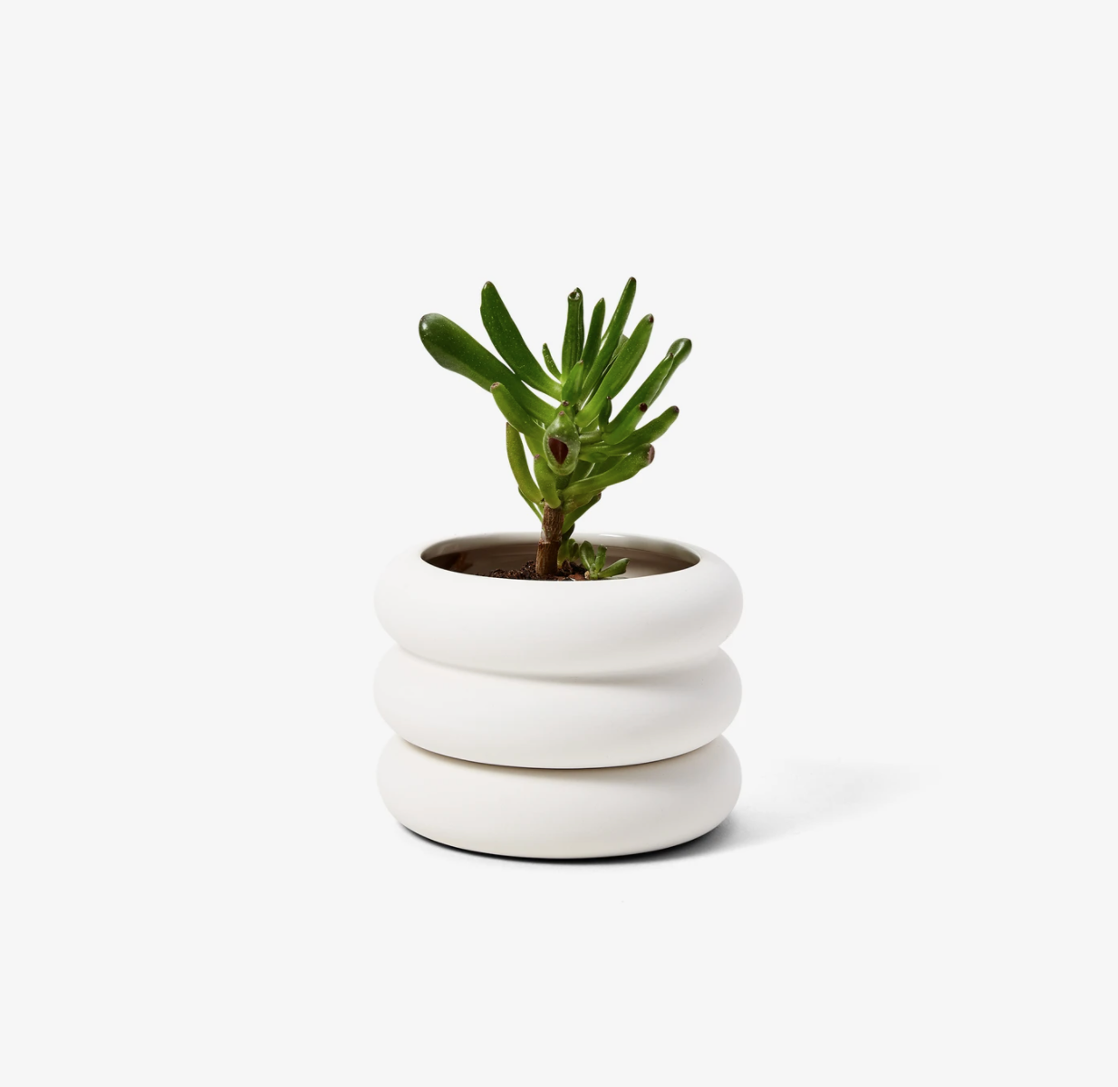 Areaware - Stacking Planter (mini short) - White