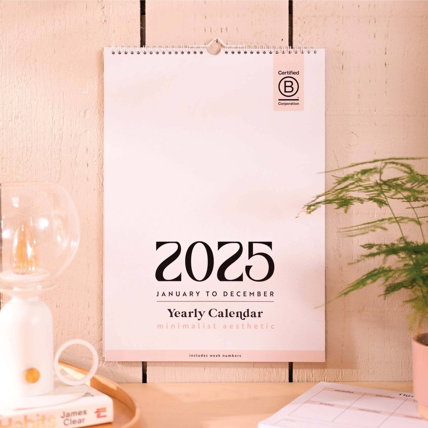 Once Upon a Tuesday - 2025 Large Year Calendar A3 |