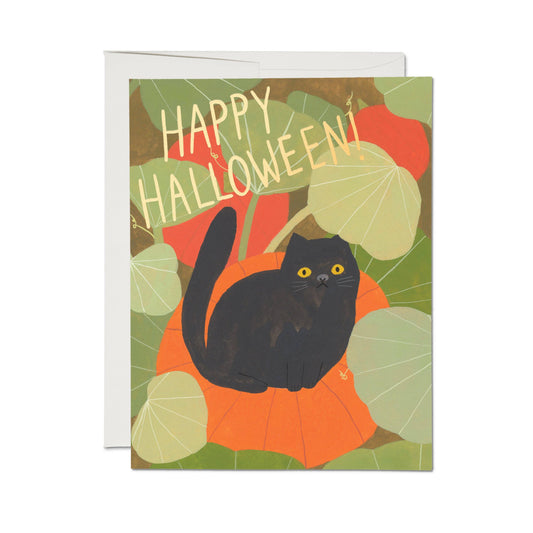 Red Cap Cards - Halloween Kitten greeting card