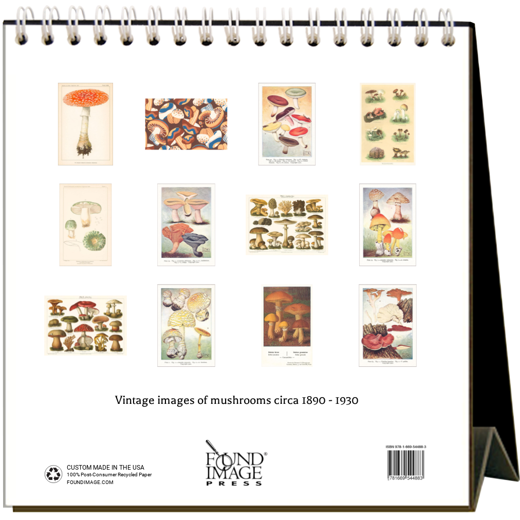 Found Image Press - 2025 Mushrooms Easel Desk Calendar